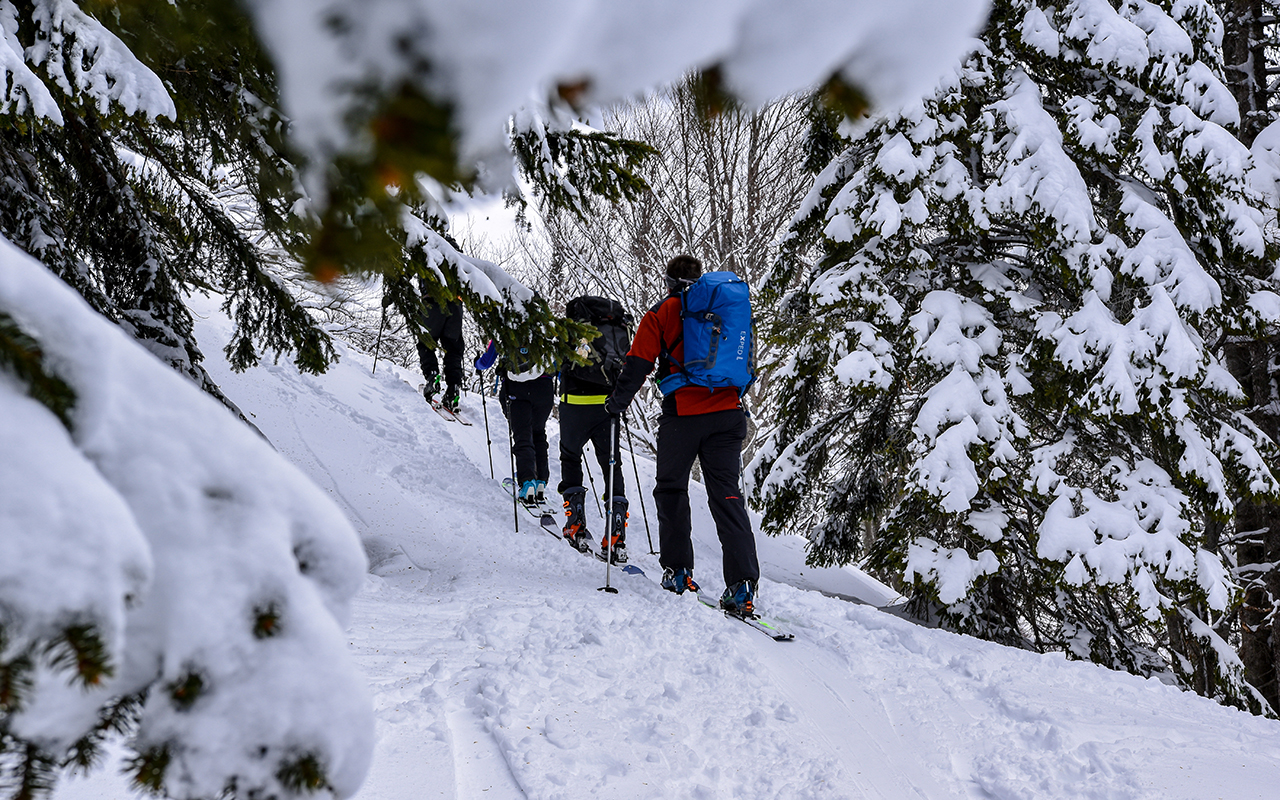 Skitour_Gruppe