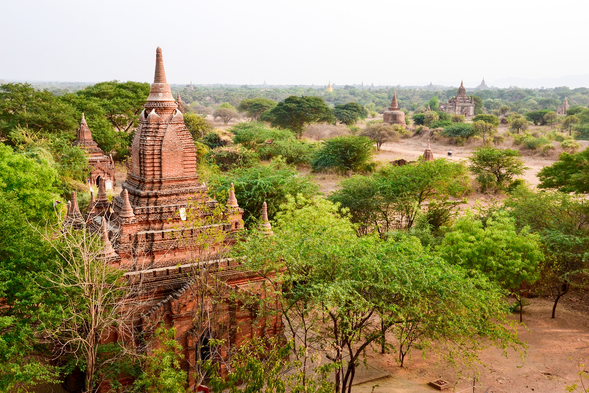 Bagan-Panorama