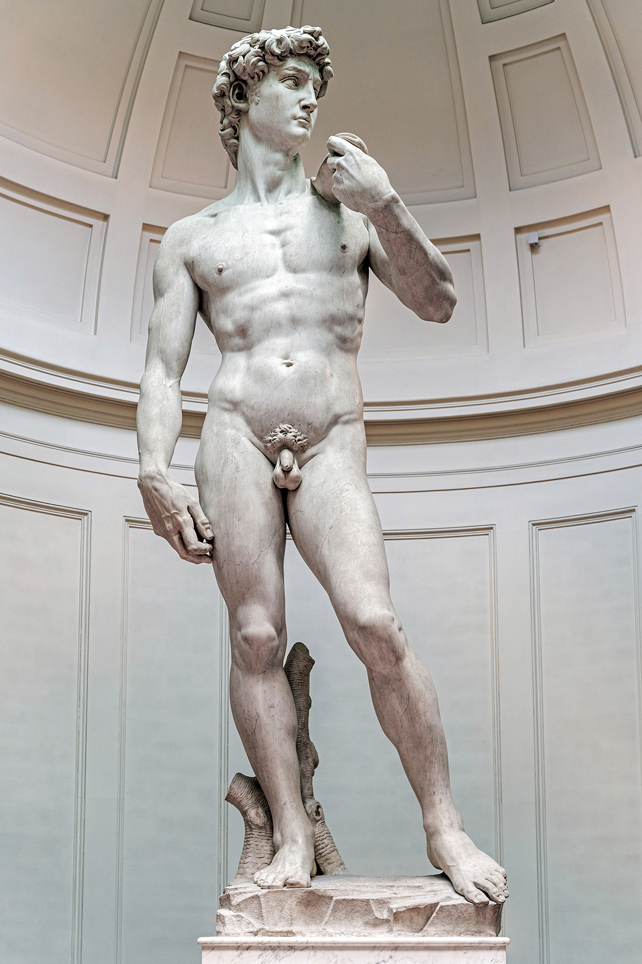 Galleria_dell_Accademia_Michelangelo