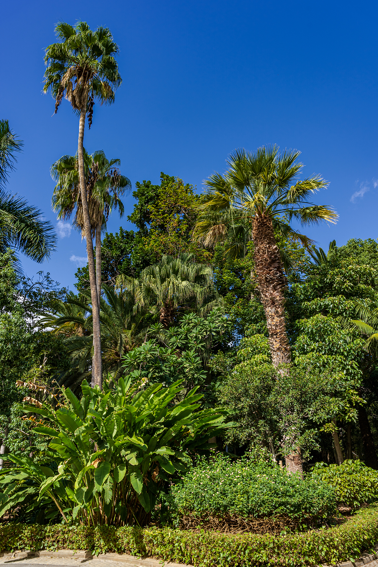 Parque García Sanabria